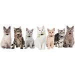 7 Pack Adjustable Breakaway Cat Collars with Bells