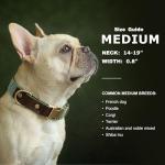 Comfortable Adjustable Dog Collar for Medium Dogs