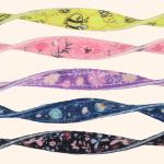 Giecooh 2-Pack Breakaway Cat Collars with Bells