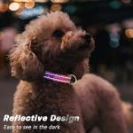 Cute Reflective Leopard Dog Collar for Medium Dogs