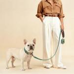 Comfortable Adjustable Dog Collar for Medium Dogs