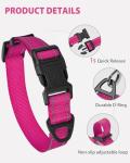 Joytale Lightweight Reflective Dog Collar for Small Dogs