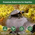 Premium Sphagnum Moss for Reptiles and Terrariums