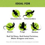 Coconut Husk Brick Bedding for Reptiles