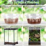 Organic Clay Balls for Reptile Terrariums