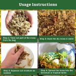 Premium Sphagnum Moss for Reptiles and Terrariums