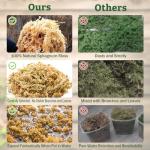 Premium Sphagnum Moss for Reptiles and Terrariums