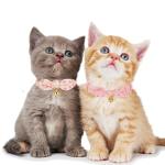YUDOTE Adjustable Bowtie Cat Collar Set - Pink