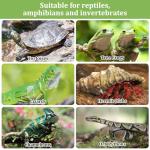 Organic Clay Balls for Reptile Terrariums