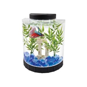 Tetra Half Moon 1 Gallon Fish Tank with LED