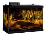 Tetra ColorFusion 20 Gallon Fish Tank Kit