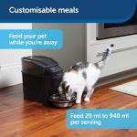 PetSafe Automatic Cat and Dog Feeder