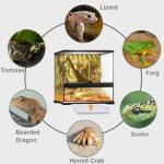 Reptile Heating Pad for Snakes and Lizards