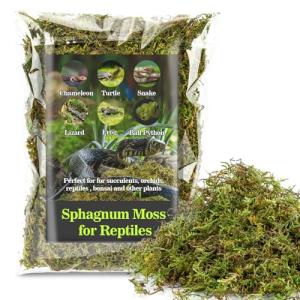 Sukh Green Sphagnum Moss for Reptile Habitats
