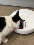 Automatic 5-Bowl Pet Feeder with Timer