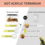 10 Gallon Reptile Terrarium for Various Pets