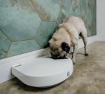 Automatic 5-Bowl Pet Feeder with Timer