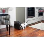 PetSafe Automatic Cat and Dog Feeder