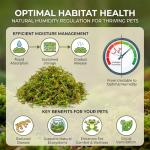 Sukh Green Sphagnum Moss for Reptile Habitats