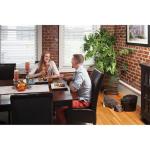 PetSafe Automatic Cat and Dog Feeder