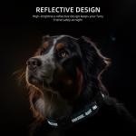 Waterproof AirTag Dog Collar with Padded Comfort