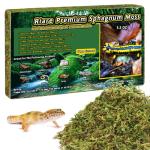 Premium Sphagnum Moss Bedding for Reptiles