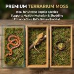 Sukh Green Sphagnum Moss for Reptile Habitats
