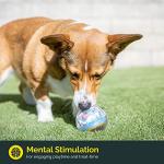 Interactive Treat Dispensing Ball for Dogs