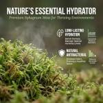 Sukh Green Sphagnum Moss for Reptile Habitats