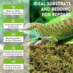 Premium Sphagnum Moss Bedding for Reptiles