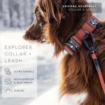 ROAM Adjustable Heavy Duty Dog Collar - Colorado Nightsky