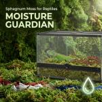 Sukh Green Sphagnum Moss for Reptile Habitats