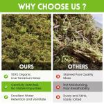 Premium Sphagnum Moss Bedding for Reptiles