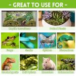 Premium Sphagnum Moss Bedding for Reptiles