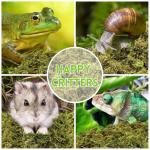 Premium Sphagnum Moss Bedding for Reptiles