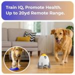 Interactive Dog Puzzle Feeder and Treat Dispenser
