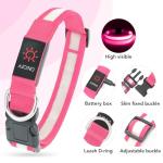 Vizpet Rechargeable LED Light-Up Dog Collar