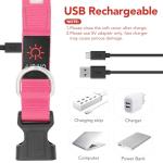 Vizpet Rechargeable LED Light-Up Dog Collar
