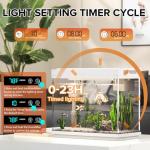 Vehipa 2.4 Gallon Aquarium Kit with Humidifier