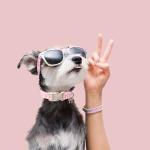 Cute Pink Plaid Bow Collar for Small Dogs