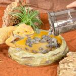 Reptile Calcium Powder Mixer and Feeder Shaker