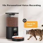Automatic Cat Feeder with Timer and Voice Recorder