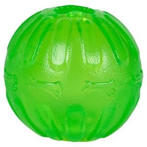 Large Treat Dispensing Chew Ball for Pets