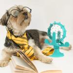 Ipetboom 360° Interactive Treat Dispenser Toy