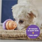 Brightkins Dog Ice Cream Treat Dispenser Puzzle Toy