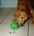 Large Treat Dispensing Chew Ball for Pets