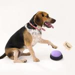 Voice Recording Buttons for Pet Training Fun