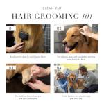 Stainless Steel Pet Grooming Scissors for Dogs & Cats