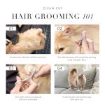 Stainless Steel Pet Grooming Scissors for Dogs & Cats