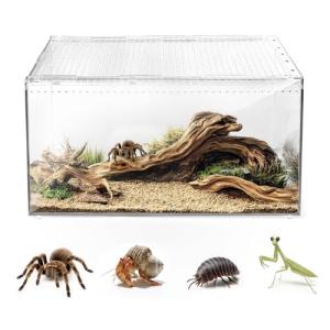 Versatile Reptile Terrarium Tank for Small Pets